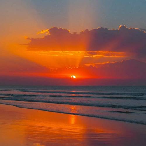 هومن پناهی اداره ژاندرمری دارم شکایت گل مه تی بردنه کنید